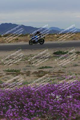 media/Jan-14-2023-SoCal Trackdays (Sat) [[497694156f]]/Turn 14 Exit Bloomig (145pm)/